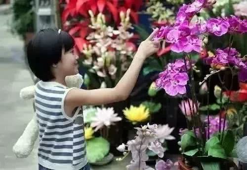 zoty��ŷ��(�й����޹�˾)�ٷ���վ