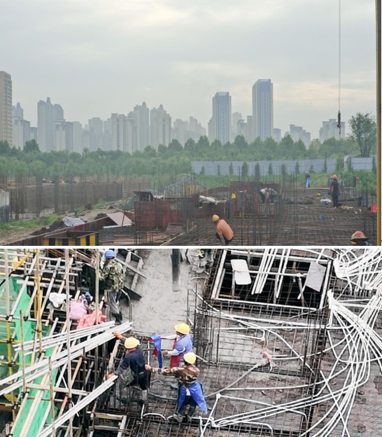 zoty��ŷ��(�й����޹�˾)�ٷ���վ