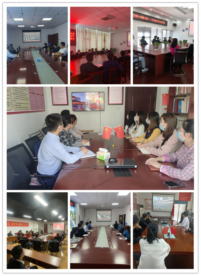 zoty��ŷ��(�й����޹�˾)�ٷ���վ