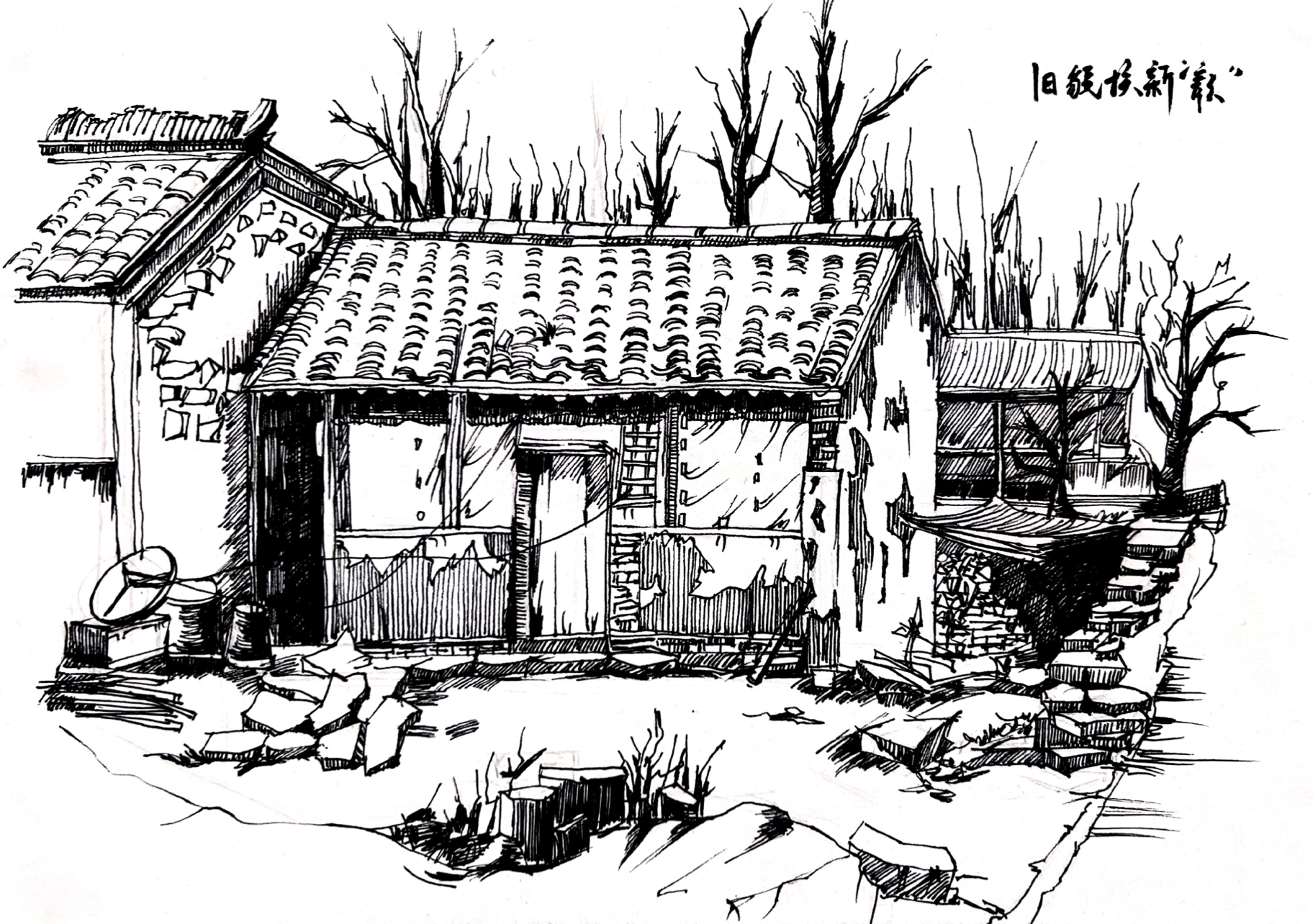 zoty��ŷ��(�й����޹�˾)�ٷ���վ